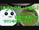 【お菓子作り】プリンにあれをちょい足しすることで、健康成分とうま味を両立【ゆっくり料理動画】