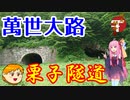 【地元紹介祭】休日放浪記～Chapter 31～　明治の隧道編【VOICEROID車載】