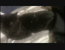 2022/02/22(火) 19:18 ちっけ 配信アーカイブ