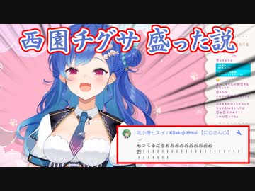 【新衣装】とある部分を盛ってる疑惑がある新衣装の西園チグサ【にじさんじ切り抜き】