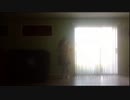 Danjo (Nankurunaisa Dance Cover!)