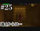 遠くからは扉見えてましたけど【ゼルダの伝説 時のオカリナ】#25