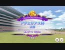 【ウマ娘プリティーダービー】とあるトレーナーのアクエリアス杯(グレードリーグAグループ決勝)