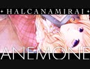 HALCANAMIRAI / ANEMONE