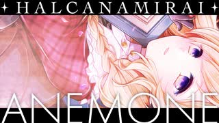 HALCANAMIRAI / ANEMONE