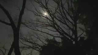 金科玉条 / Guliver32 feat.結月ゆかり