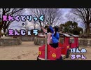 【chiWawa】えれくとりっく・えんじぇぅ 踊ってみた【あやぽんぬ】