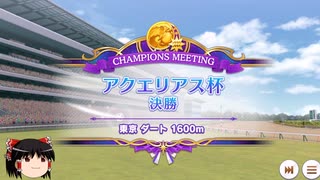 【ウマ娘】アクエリアス杯グレードリーグBグループ決勝＋おまけもあるよ