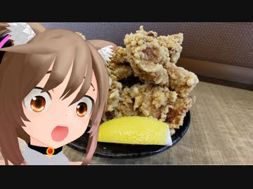 【車載適量】名古屋にからあげ食べに行った日記～千葉【ささら微量】