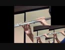 FF6「仲間を求めて」(フルート多重/撮り直し)