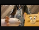 それがあなたの幸せとしても　唄ってみた【さらまんだあ】