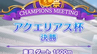 ウマ娘　アクエリアス杯グレードAグループ決勝