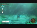 続編出るまでにBotWクリアしときたいマン　英傑たちの詩(バラッド)編　part1