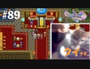 寄り道回）…っていうか、もうほぼ猫と遊んでるだけの回です【ドラゴンクエストⅪS】ダイエット実況Season2D89