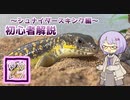 【ゆかレプ】シュナイダースキンクについて【結月ゆかり】