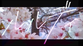 ルルディ/雛ギクfeat.IA