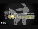 【ポケモン剣盾】週刊うららランク探訪#36【ブラッキー】