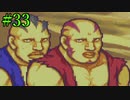 【実況】もう誰も死なせないFE烈火の剣 ヘクトルハード part33