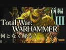 Total War:WARHAMMERⅢ】設定解説】プレイアブルキャラKu'gath Plaguefather編【夜のお兄ちゃん実況】