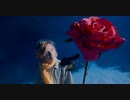 西宮秀明-nishihide- flower