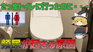 【ゆっくり解説】寝る前にトイレに行っても、目が覚めてまたトイレに行きたくなるのはなぜ？頻尿を改善する方法