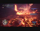 火竜族の希少種の空中撃墜は散弾が1番