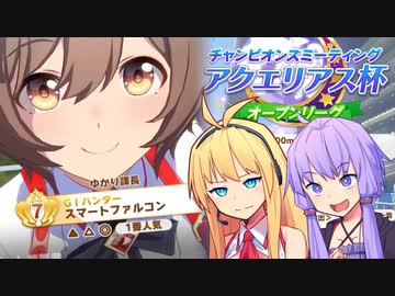 【ウマ娘】アクエリアス杯決勝に挑むゆかり課長