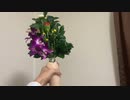 【華道】オナホで生花してみた