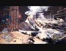 【MHWI】谷のクエストと闘技場での苦戦19