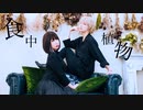 【初日夏】 食虫植物【踊ってみた】