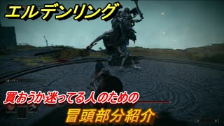 エルデンリング　冒頭部分紹介！買おうか迷ってる人の紹介動画　＃１【ELDEN RING】