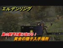 エルデンリング　黄金の種子入手場所　嵐の関門を駆け抜ける！　＃６【ELDEN RING】