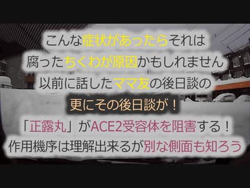 これはちくわ後遺症の被害者です！どんどん増えます！最近の話題で気になる「正露丸」について...
