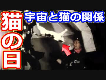 【ゆっくり解説】意外と深い宇宙と猫の関係　猫の日記念解説特別編