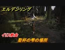 エルデンリング　聖杯の雫の場所は？　イリス教会　＃１１【ELDEN RING】
