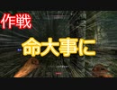 【Skyrim】拳闘伝説　猫の軌跡 ep1