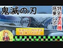 ANA NH30 B767-300 JA616A 鬼滅の刃ジェット 搭乗記 大阪伊丹/東京羽田