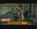 エルデンリング　マルギットに挑戦！死にまくり！　＃１２【ELDEN RING】