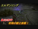 エルデンリング　坩堝の騎士に挑戦！　嵐丘の封牢　＃１３【ELDEN RING】