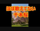 世界一の音痴が歌う『千本桜』温かい目で見守ってください。