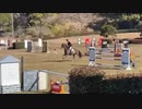 フェリオ君！Japan Open1日目！