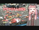 第966位：【アクアリウムVOICEROID部】死神茜ちゃんのアクアリウム日記8【生存報告】