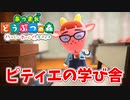 【あつまれ どうぶつの森 ハッピーホームパラダイス実況】別荘？？OK！任せて！ピティエの別荘「ピティエの学び舎」完成編