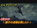 エルデンリング　獅子の混種を倒したい！死にまくり　＃２０【ELDEN RING】