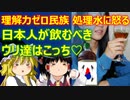 ゆっくり雑談 477回目(2022/2/25) 1989年6月4日は天安門事件の日 済州島四・三事件 保導連盟事件 ライダイハン コピノ コレコレア