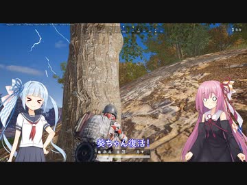 チキンな葵のPUBG#10【PUBGボイロ実況祭】