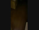 ホモと見る同じ詐欺師に2回金を騙し取られる障害者。