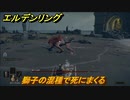 エルデンリング　獅子の混種で死にまくる！　＃２４【ELDEN RING】