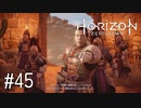 【ゆっくり実況】Horizon Zero Dawn その45