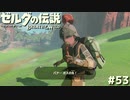 食い物の恨みは恐ろしい【ゼルダの伝説 ブレス オブ ザ ワイルド53】